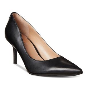 NWT. Lauren By Ralph Lauren Lanette Pointed-Toe Pumps Size 10